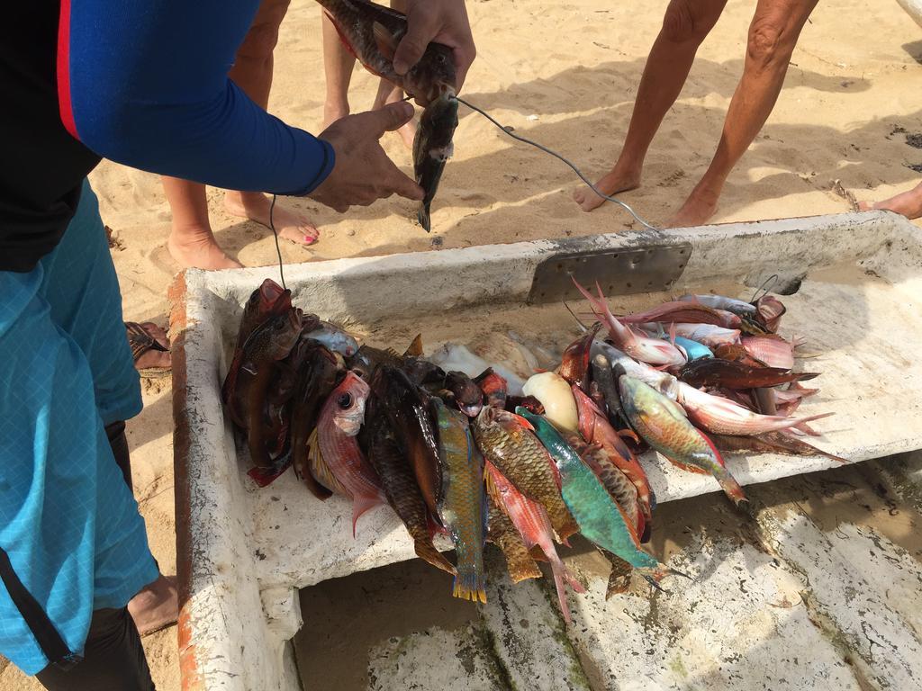 Appartamento Blu Las Terrenas Luaran gambar